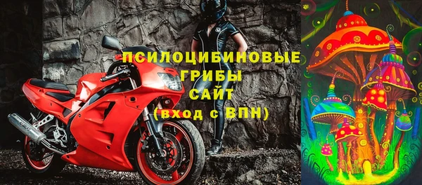 гашик Волосово