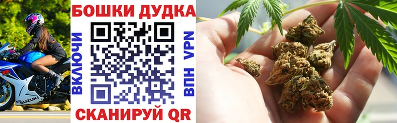 ссылка на мегу как зайти  Гвардейск  Шишки марихуана Ganja  маркетплейс наркотические препараты  купить наркотики цена 